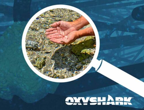 OxyShark®’s Take on Water Quality